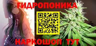 Альфа ПВП Кимры
