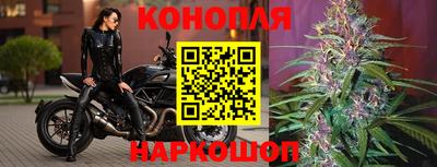 мдма Кингисепп