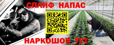 мдма Кингисепп