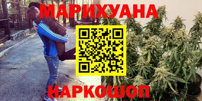 мдма Кингисепп
