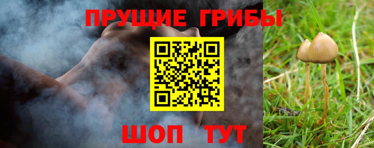Гусиноозёрск  Псилоцибиновые грибы Psilocybe  Галлюциногенные грибы мицелий  Вход с VPN 